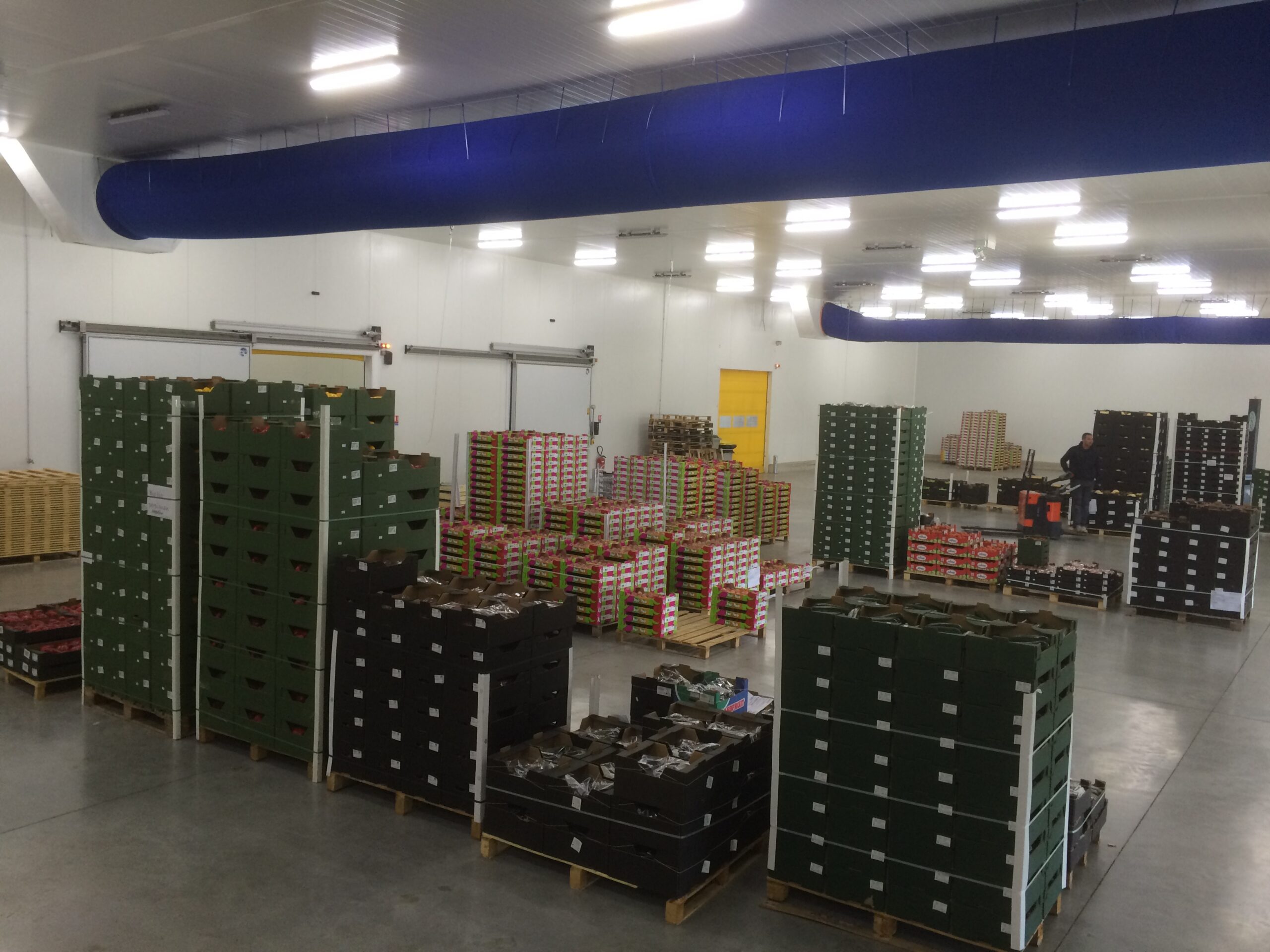 Aucune actualité disponible